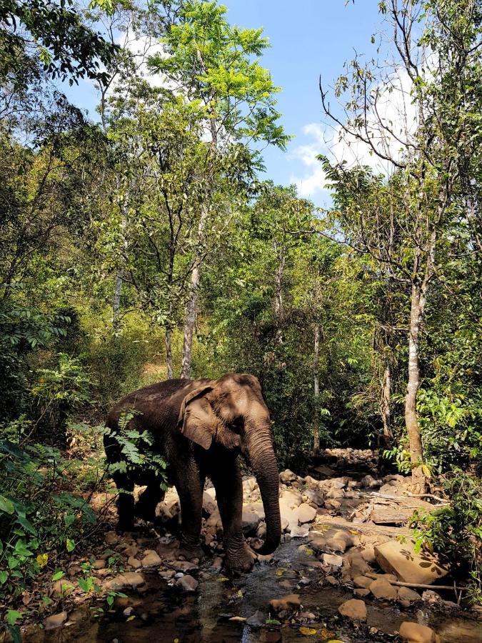 Farmer homestay&trekking Banlung Eksteriør bilde